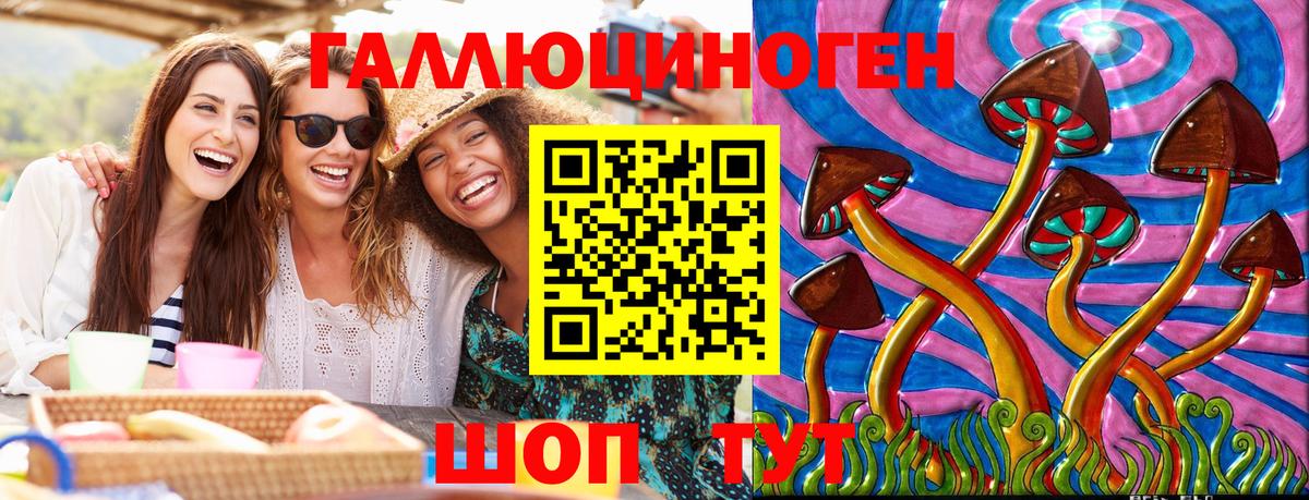 Псилоцибиновые грибы Psilocybe  Вход с VPN  купить  цена  Чебаркуль 